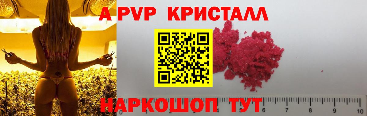 Ейск  Alfa_PVP крисы CK  А ПВП крисы CK  Вход с VPN  А ПВП крисы CK 