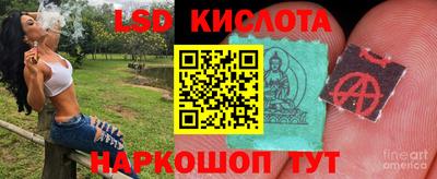твердый Лесосибирск