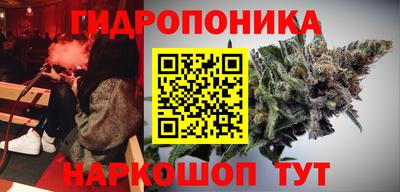 твердый Лесосибирск