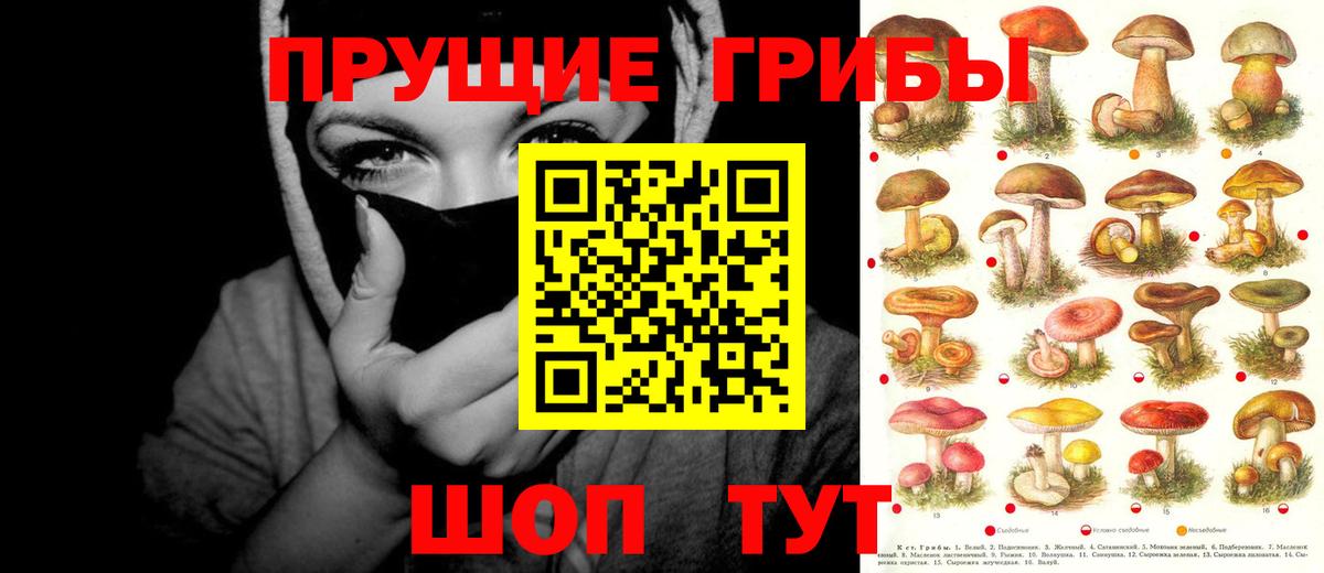 Псилоцибиновые грибы Psilocybe  Псилоцибиновые грибы Cubensis  Ейск  Вход с VPN 